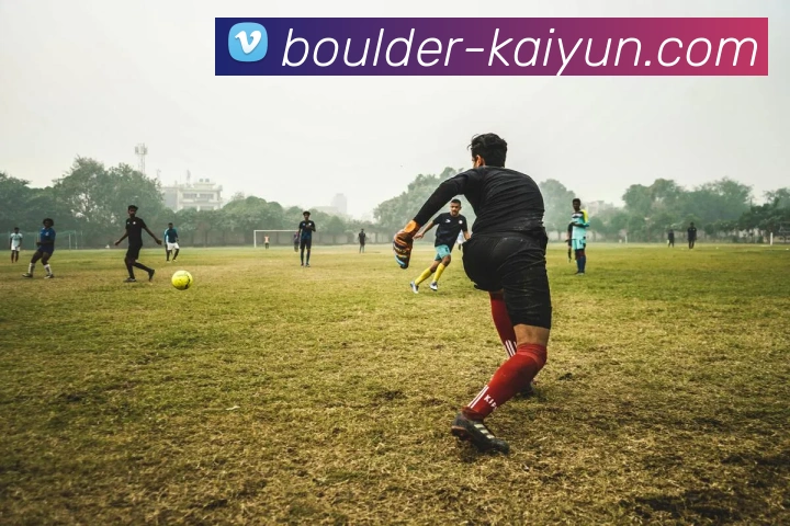 开云官网APP 高清赛事图